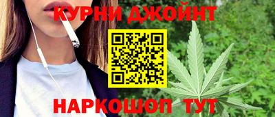 мяу мяу мука Аргун