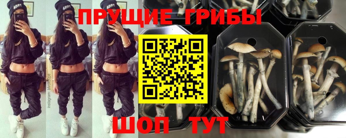 Вичуга  Псилоцибиновые грибы мухоморы  Галлюциногенные грибы Cubensis  Вход с VPN 